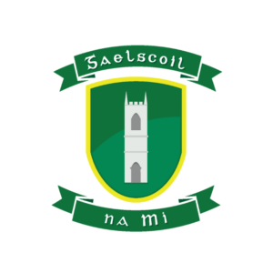logo-cnaipe.png